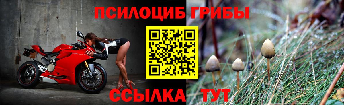 Псилоцибиновые грибы мухоморы  Вход с VPN  купить  цена  Псилоцибиновые грибы Magic Shrooms  Сосновоборск 