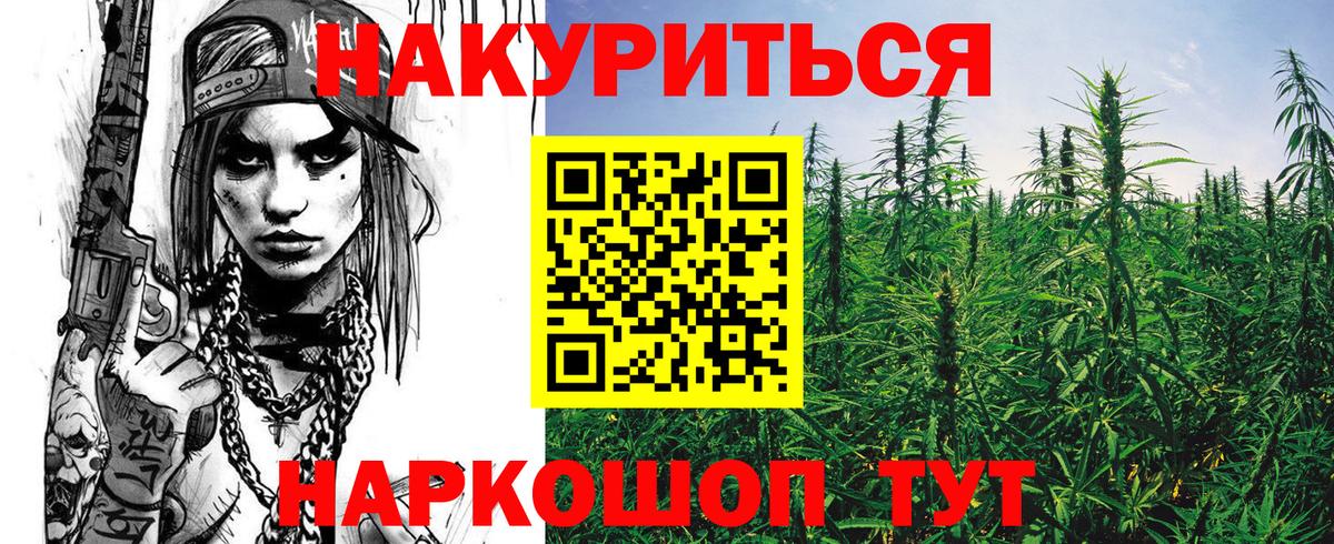 Каннабис гибрид Сосновоборск
