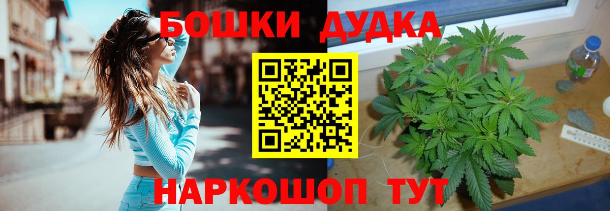 Марихуана семена  Канабис MAZAR  Бошки Шишки планчик  Каннабис сатива  Вход с VPN  Сосновоборск 